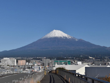 橋の歩道の写真